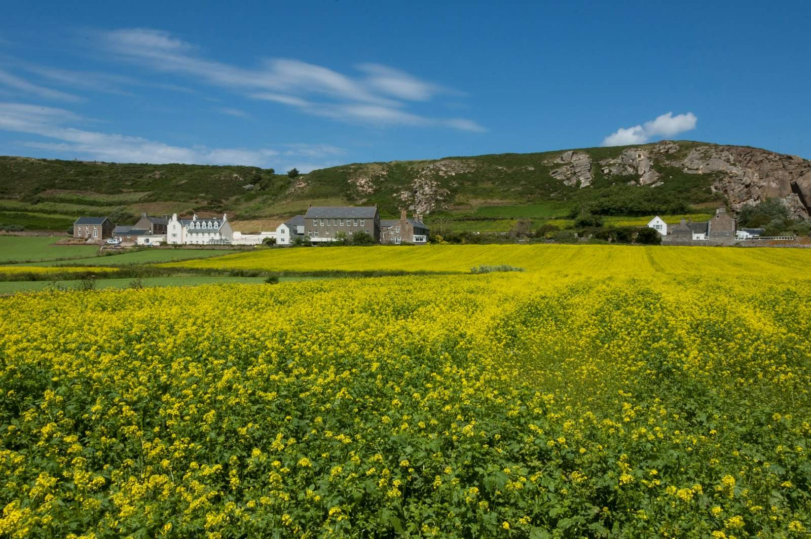 Farmhouses and fields in the Jersey countryside